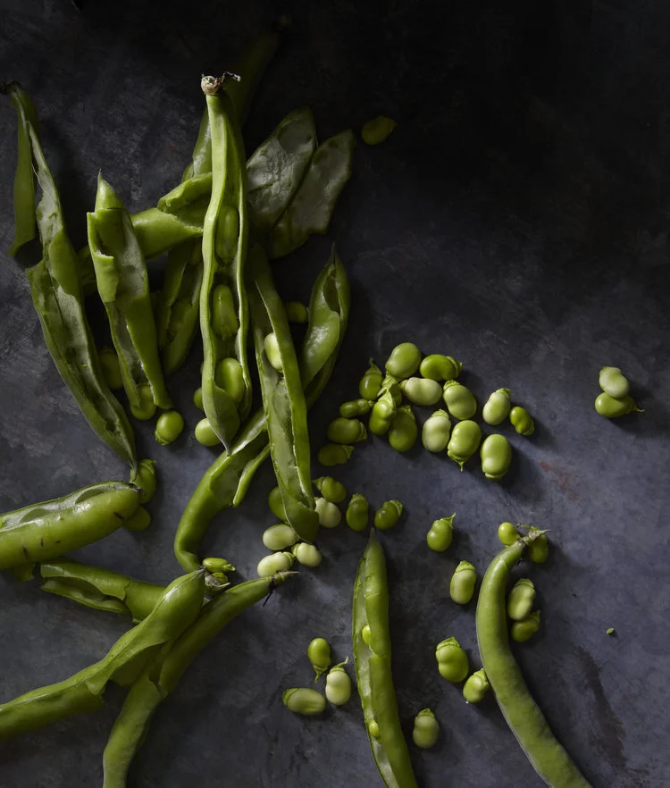 Fresh fava beans being shucked in our kitchen